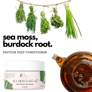 Sea Moss Burdock Root Protein Treatment Deep Conditioner with Sulfur