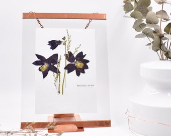 Framed pressed flowers, Pressed flower frame, Framed dried flowers Pressed flower wall art Pressed flowers wall art gift mothers day
