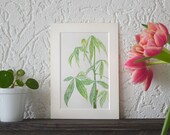 Money Tree Botanical Watercolor Original Painting 55 100 or apaintingaday Series