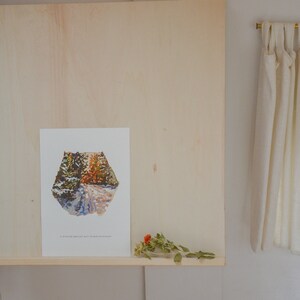 May include: A white framed print with a painting of a snowy forest path. The text "A winter breeze, yet warm sunlight" is at the bottom of the print.