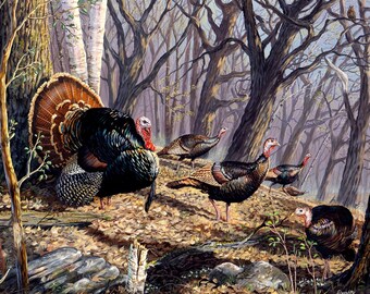 Wild Turkey Etsy