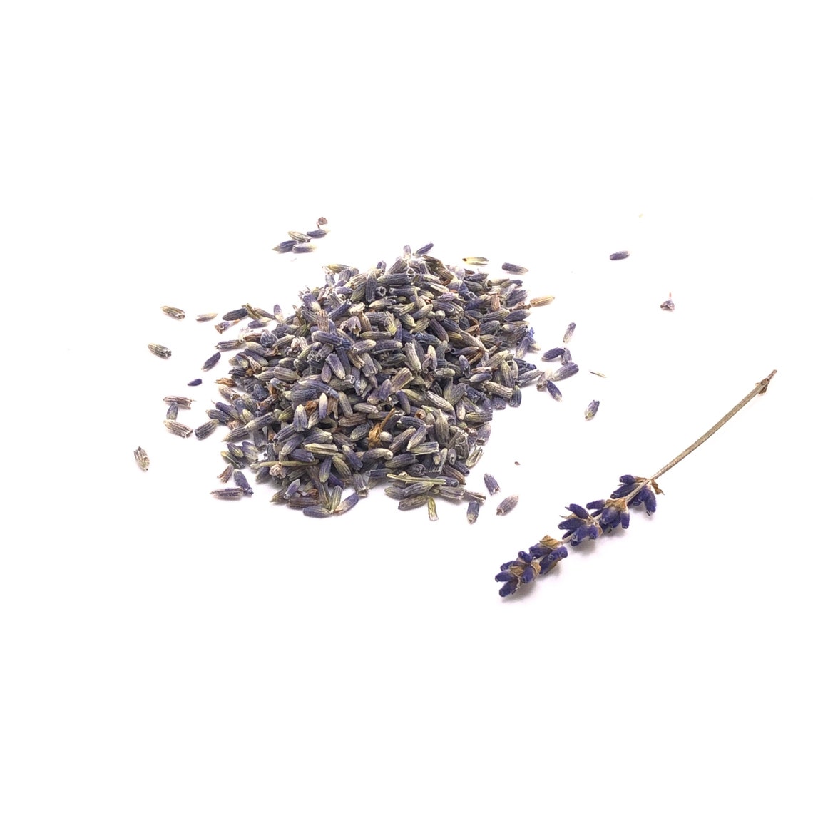 Culinary Lavender Flowers Etsy