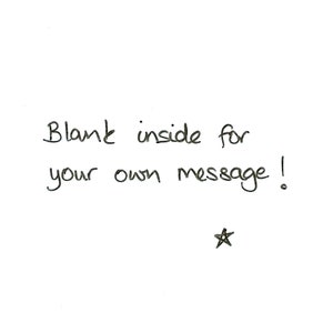 May include: Blank card with the text "Blank inside for your own message!" and a small star drawn in the bottom right corner.