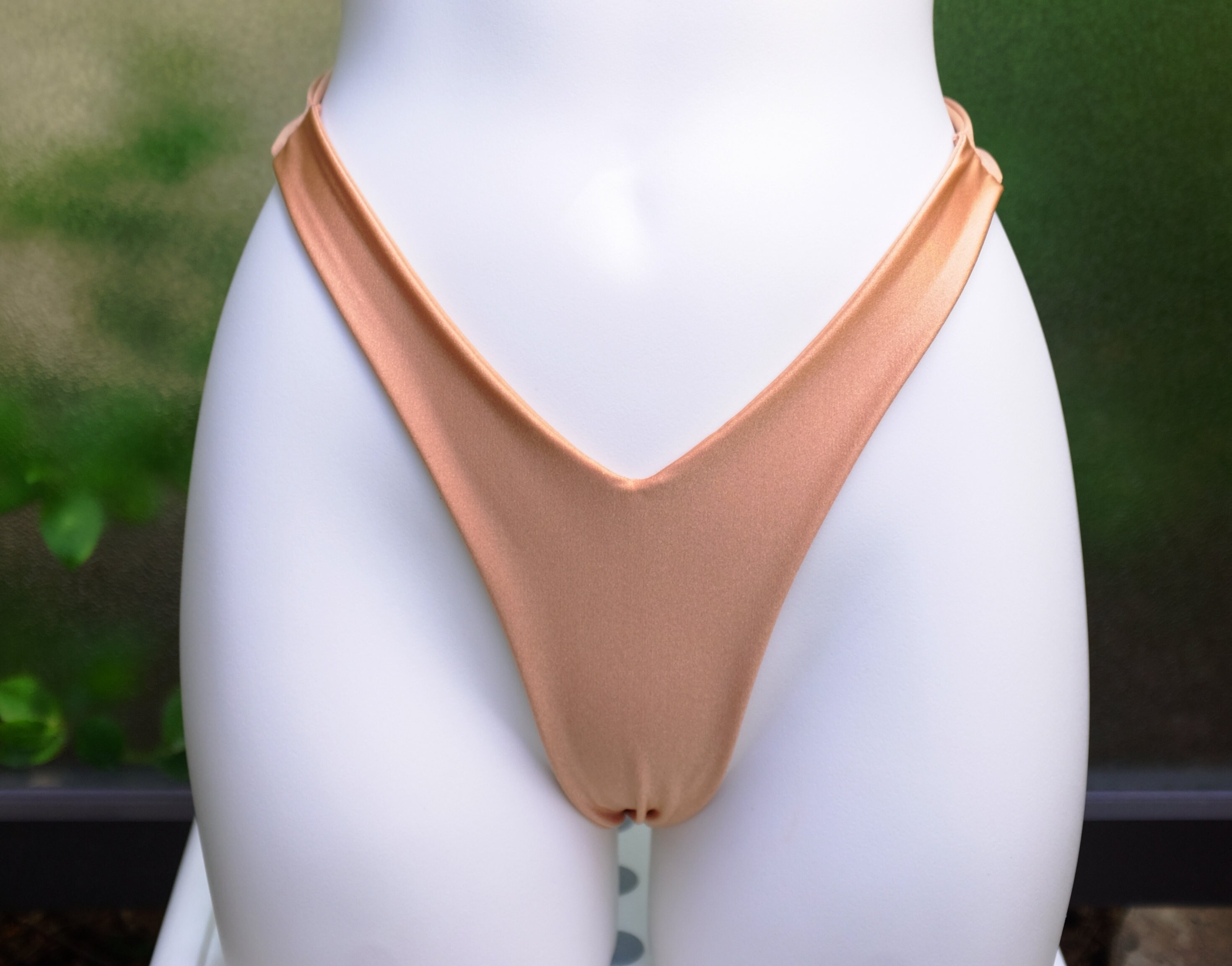 high waisted v cut bikini