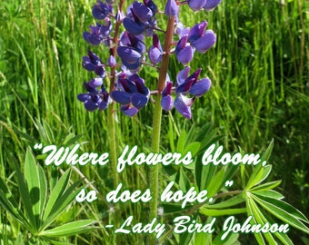 Lady Johnson flower card, where flowers bloom, so does hope