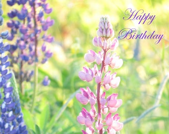 Happy Birthday lupine card, floral happy birthday card