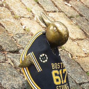 Cartão de aniversário do patinho do Boston Bruins