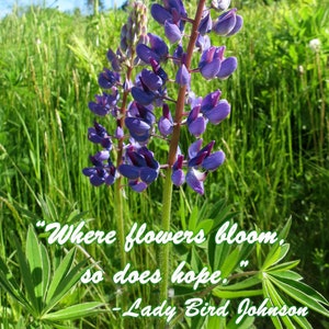Lady Johnson Blumenkarte, wo Blumen blühen, so macht Hoffnung