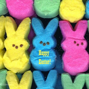 lugt guckt Osterkarte, Frohe Ostern Karte, Ostern Hase Karte, Kaninchen-Karte, Karte, Hase Karte. Hase Ohren Karte