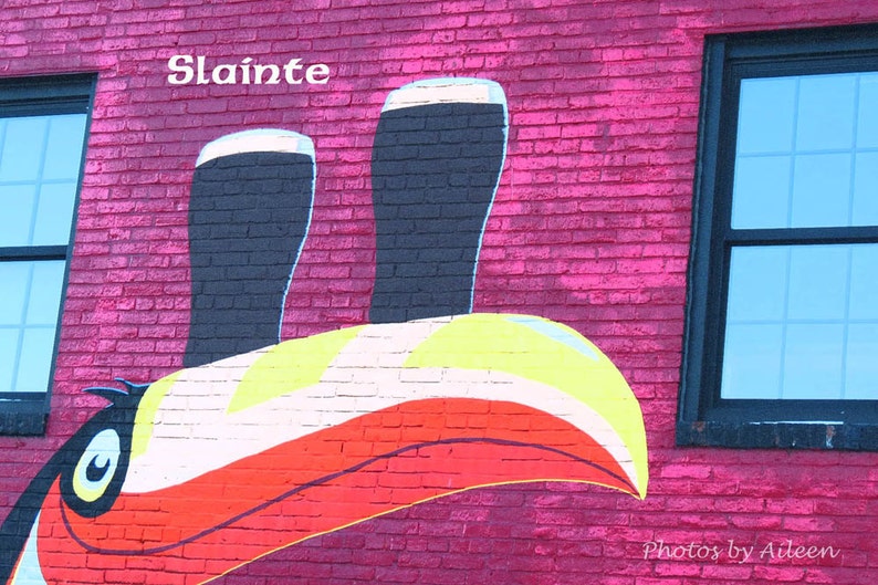 May include: A pink brick wall with a mural of a toucan with a yellow beak and red, white, and yellow feathers. The toucan is wearing two black glasses filled with a dark liquid. The text "Slainte" is written in white on the wall.