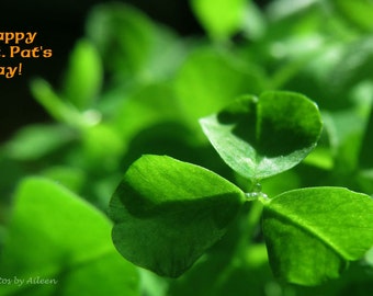 lucky shamrock card, st patrick's day card, Irish shamrock card, irish clover card, shamrock photo, st patrick's day photo, irish photo