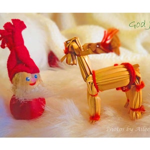 Dio lug svedese natale auguri tomten