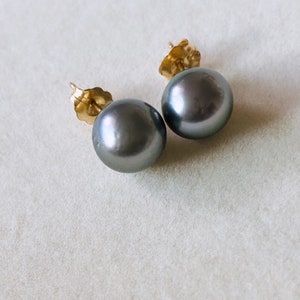 Tahitian Pearl stud earrings