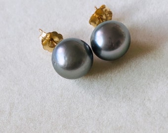 Tahitian Pearl stud earrings