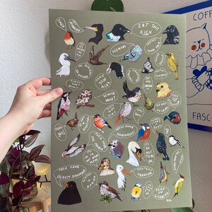 Feminist Birds Poster Bild 2