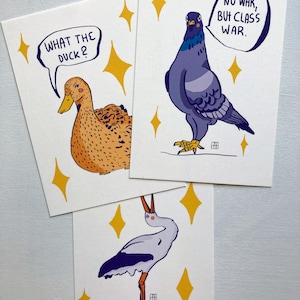 Postkartenset / Feminist Birds / Storch / Ente / Taube / Illustrationen /