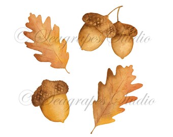 Watercolor Palm Tree Clipart Tropical PNG Instant Download | Etsy