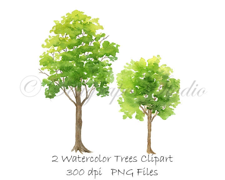 Watercolor Trees Clipart PNG Instant Download Hand Painted | Etsy