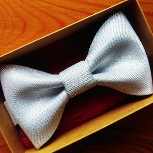 Silberne Glitzer Fliege, Hochzeit Fliege, Schimmer Fliege, für den Bräutigam, Herren Accessoires, Herren Anzug, Fliege, Fliege, Fliege, Fliege, Fliege, Fliege, Fliege