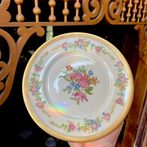 May include: A white porcelain plate with a gold rim and a floral design. The flowers are pink, blue, and yellow. The plate is being held in a hand.
