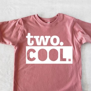 Second Birthday Shirt 2nd Birthday Outfit Two Cool Two Wild 2nd Birthday Toddler Tee I'm Two Years Old Shirt Camo Birthday Shirt