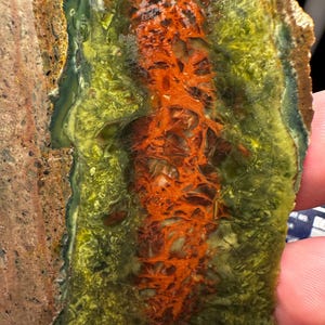 May include: Close-up of a polished stone slice with a vibrant color palette. The stone features a central vein of fiery orange, surrounded by a matrix of green and yellow hues. The edge displays a band of brown and tan.