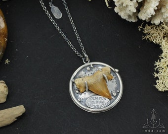 Collana amuleto con un incredibile fossile di denti di squalo, C0256 fatto a mano