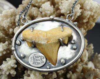 Collana amuleto con un incredibile fossile di denti shark, fatto a mano C0255