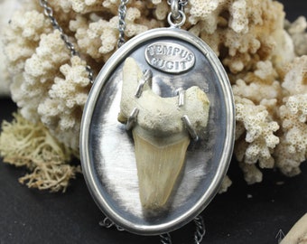 Sterling silver necklace with an amazing Megalodon tooth fossil, handmade C0254