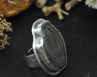 Anello regolabile in argento sterlina con un bellissimo fossile Trilobite, fatto a mano B0026