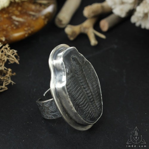 Sterling silver shops adjustable ring with a beautifull Trilobite fossil, handmade B0026