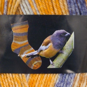 May include: A skein of yarn with orange, white and blue stripes. The yarn label features a sock and a small bird perched on a branch.