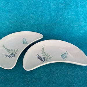 May include: Two light gray, crescent-shaped plates with a speckled finish. Each plate features a fern design in shades of blue and green. The plates are set against a turquoise background, showcasing their unique shape and botanical pattern.