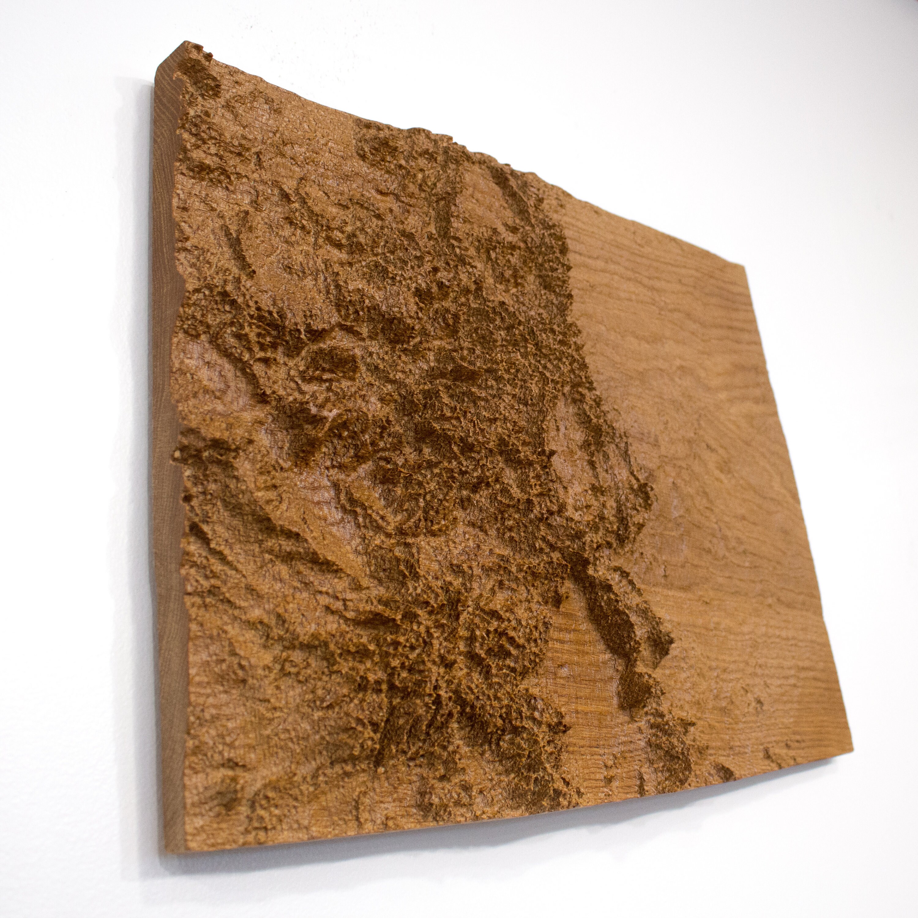 3d Topographic Map Of Colorado Wooden Topographic Map Of Colorado 3D Map Wood Geographic | Etsy
