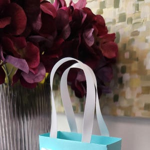 May include: A light blue gift bag with white ribbon handles and a white bow. The bag has the text "Liz & Co." printed on the front.