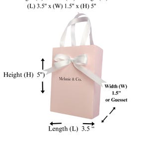 May include: A pink gift bag with a white ribbon and bow. The bag has a white handle and the text "Melanie & Co." printed on the front. The bag measures 3.5 inches long, 1.5 inches wide, and 5 inches high.