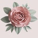 Emilia Paperie