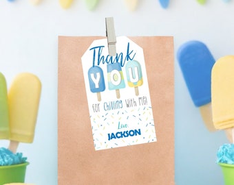 Editable Popsicle Favor Tags Template Printable Summer Popsicle Ice Cream Birthday Party Thank You Tags Boy Birthday Party