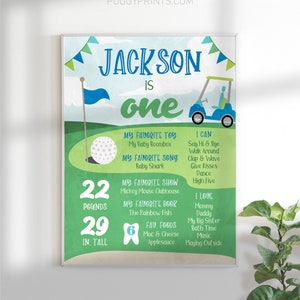 Hole in One Milestone Poster, Editable Golf First Birthday Poster, Printable 1st Birthday Stats Sign, Golfing Milestone Poster, Boy Birthday image 3