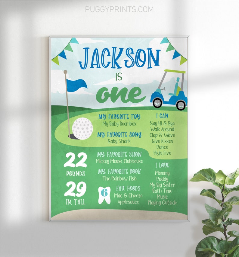 Hole in One Milestone Poster, Editable Golf First Birthday Poster, Printable 1st Birthday Stats Sign, Golfing Milestone Poster, Boy Birthday image 3