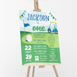 Hole in One Milestone Poster, Editable Golf First Birthday Poster, Printable 1st Birthday Stats Sign, Golfing Milestone Poster, Boy Birthday image 2