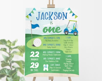 Hole in One Milestone Poster, Editable Golf First Birthday Poster, Printable 1st Birthday Stats Sign, Golfing Milestone Poster, Boy Birthday