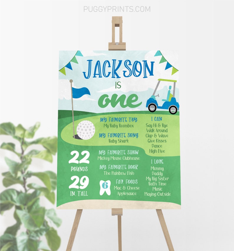 Hole in One Milestone Poster, Editable Golf First Birthday Poster, Printable 1st Birthday Stats Sign, Golfing Milestone Poster, Boy Birthday image 1