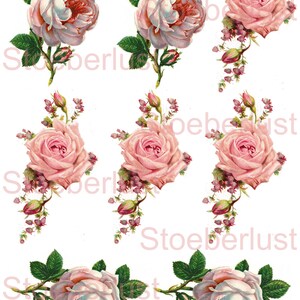 K&ouml;nnte beinhalten: Eine Sammlung von floralen Illustrationen im Vintage-Stil mit Rosen in verschiedenen Bl&uuml;hstadien. Die Rosen sind haupts&auml;chlich rosa und wei&szlig;, mit gr&uuml;nen Bl&auml;ttern und Knospen. Das Wort "Stoeberlust" ist schwach sichtbar.