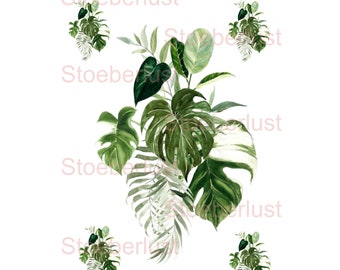 Tropical Leaves – Rub-On Sticker, Decal Film or Rice Paper for Furniture, Candles & DIY Decor (A4, 5 Motifs)