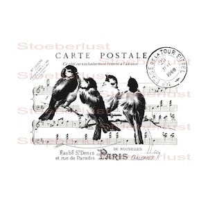 postcard from Paris with birds vintage Watertransfer, Decalfoil, Furniture Tattoo shabby chic  different sizes waterproof DIY