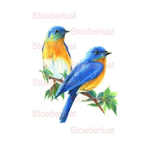 Blaue Vögel A 4 shabby Background Decalfolie shabby chic Bildtransfer Abziehbild Wasserschiebefolie verschiedene Größen, Serviettentechnik,