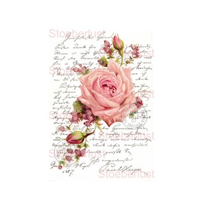 Puede incluir: Un dise&ntilde;o de estilo vintage con una gran rosa rosa y capullos rosas m&aacute;s peque&ntilde;os. La rosa se encuentra sobre un fondo de escritura manuscrita y un sello postal. La palabra "Stoerberlust" es visible.