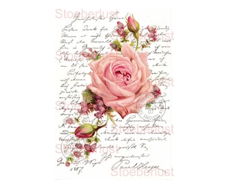 May include: A romantic design with a large pink rose and smaller pink buds, set against a backdrop of handwritten script and a postage stamp. The word "Stoerberlust" is visible. The design has a vintage feel.