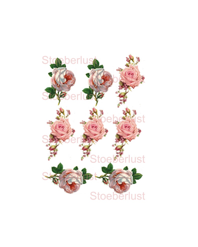 K&ouml;nnte beinhalten: Neun Illustrationen von Rosen im Vintage-Stil. Die Rosen haben verschiedene Rosa- und Wei&szlig;t&ouml;ne, gr&uuml;ne Bl&auml;tter und kleine Knospen. Der Text "Stoeberlust" ist in Hellrosa auf wei&szlig;em Hintergrund gedruckt.